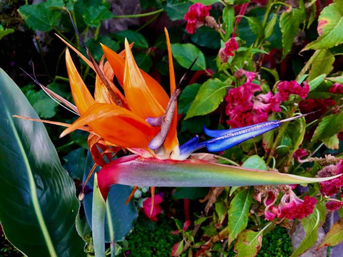 דירה Lakefront Living Lovely Loft, San Marcos, Atitlan