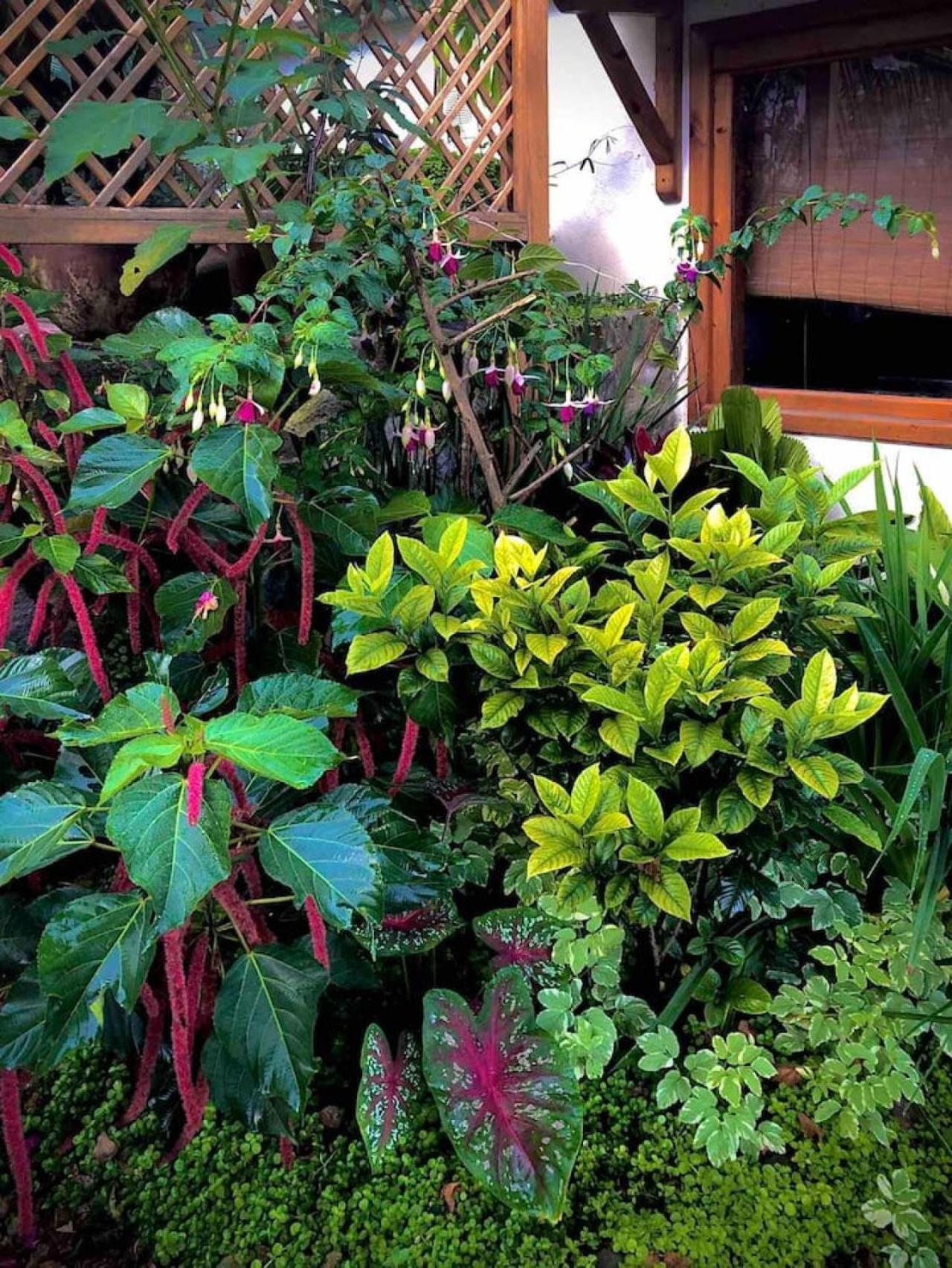 Lakefront Living Lovely Loft, San Marcos, Atitlan Apartment